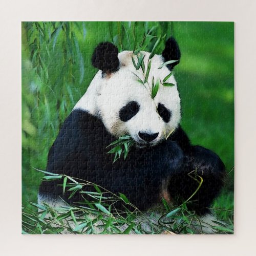 Panda Eating Leaves Jigsaw Puzzle