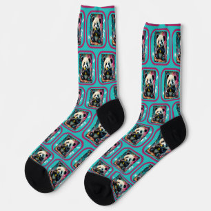 Panda eats a pickle socks