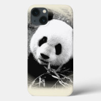 Panda Eyes