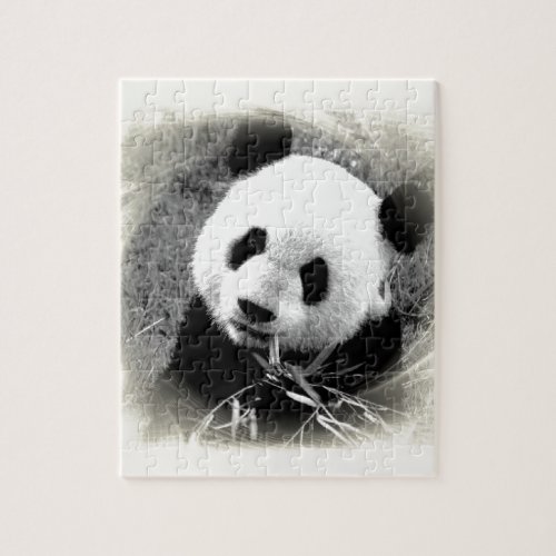 Panda Eyes Jigsaw Puzzle