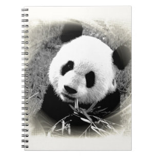 Panda Eyes Notebook
