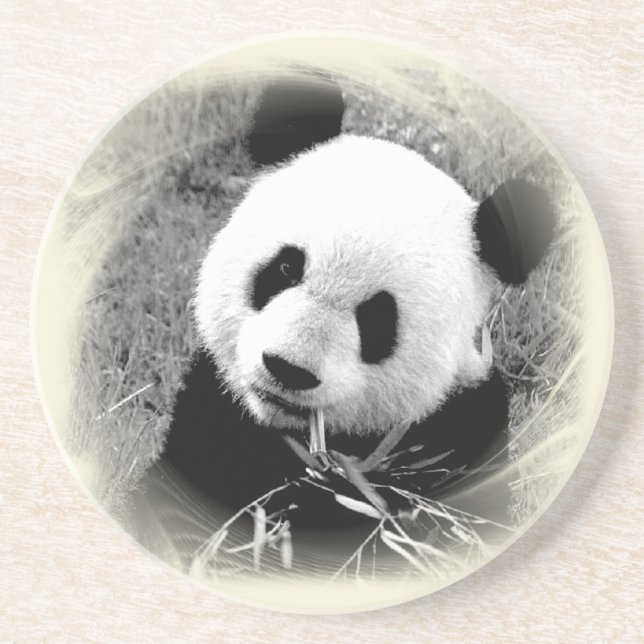Panda Eyes Sandstone Coaster (Front)