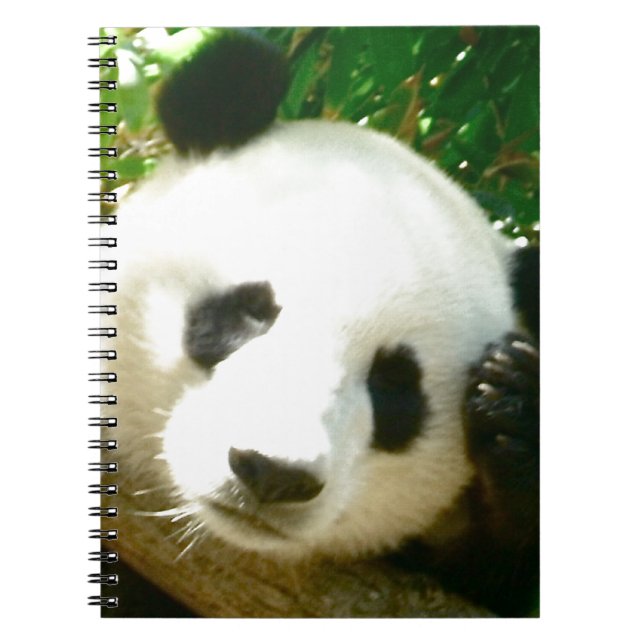 Panda Face Notebook (Front)