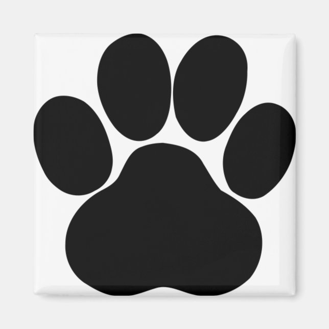 Panda feet design magnet (Front)