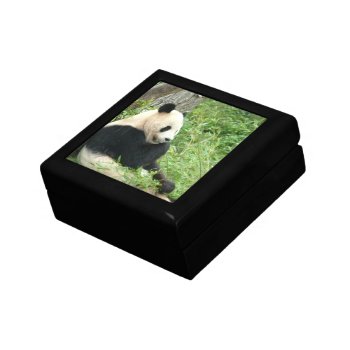 Panda  Gift Box by WildlifeAnimals at Zazzle