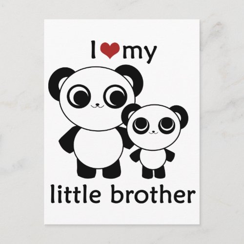 Panda _ I love my little brother Postcard