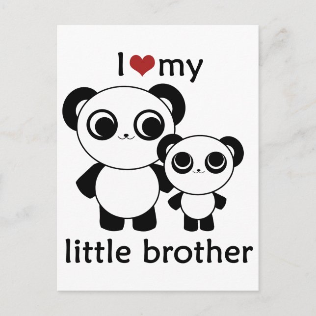 Panda - I love my little brother Postcard (Front)