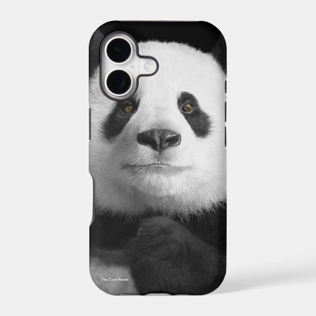 Panda image for iPhone-5-5S-Barely-There Iphone Case (Back)