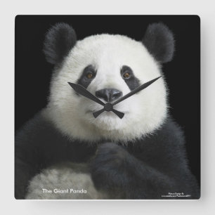 Panda image for Square-Wall-Clock Square Wall Clock