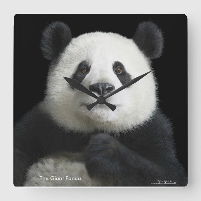 Panda image for Square-Wall-Clock Square Wall Clock (Front)