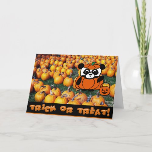 Panda in Devil Costume at Haunted Corn Maze Card