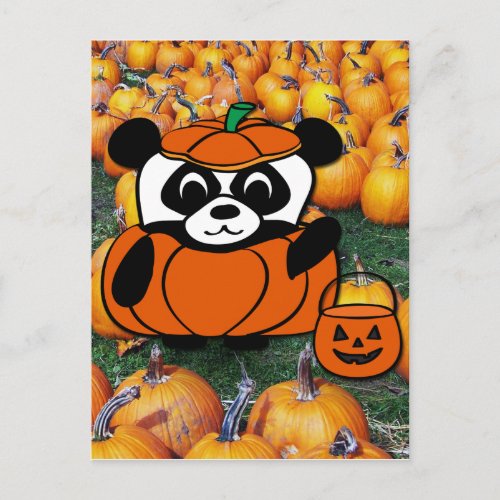 Panda in Devil Costume at Haunted Corn Maze Postcard