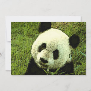 Panda Invitation