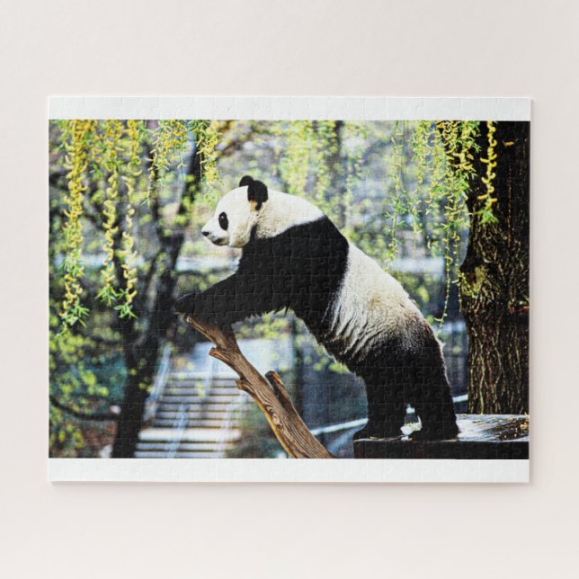 Panda Jigsaw Puzzle (Horizontal)