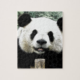 Panda Jigsaw Puzzle