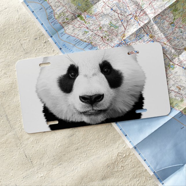 Panda License Plate (In Situ)