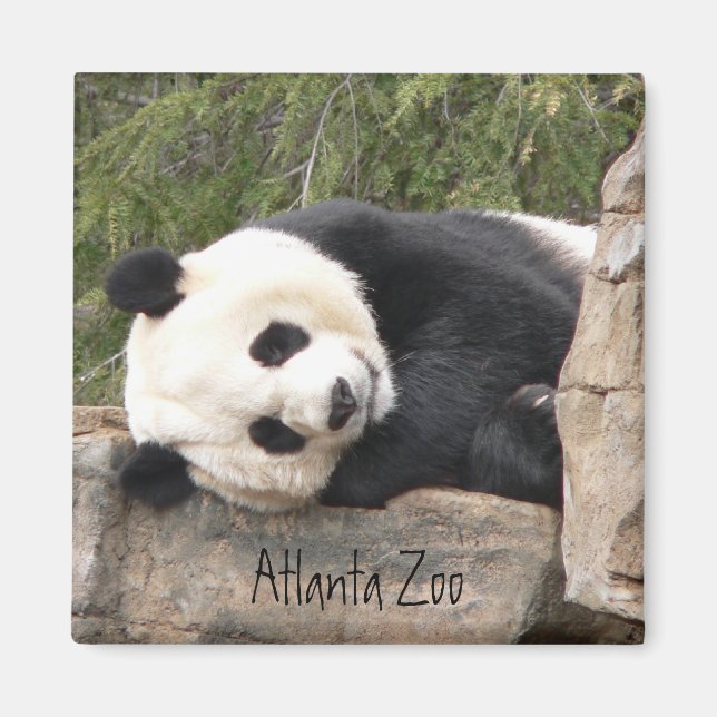 Panda Magnet (Front)