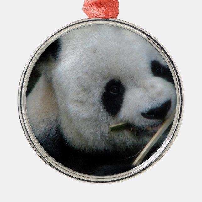 Panda Metal Ornament (Front)