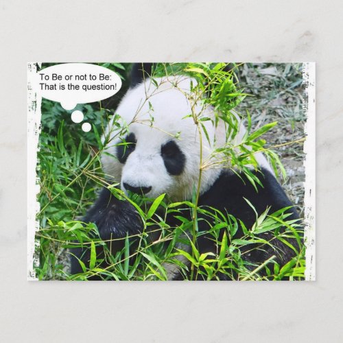 Panda Modern Pop Art Quote Template Trendy Postcard
