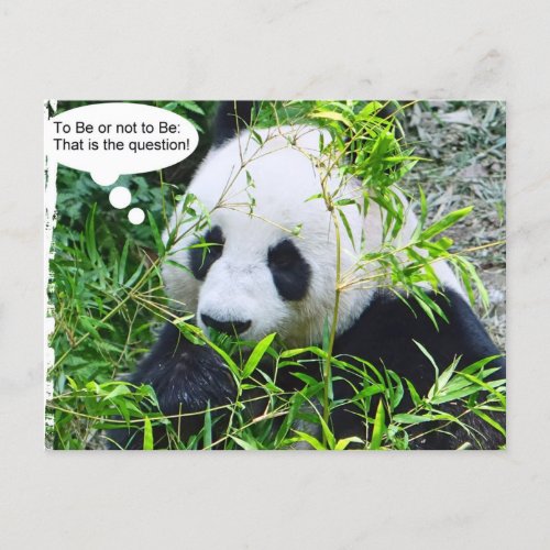 Panda Modern Quote Animal Template Trendy Postcard