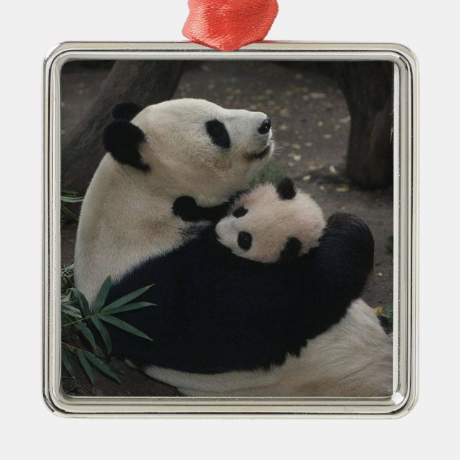 Panda Momma And Baby Metal Ornament (Front)