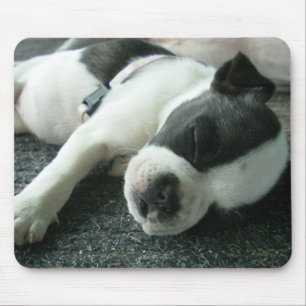 panda mouse pad