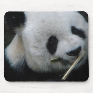 Panda Mouse Pad