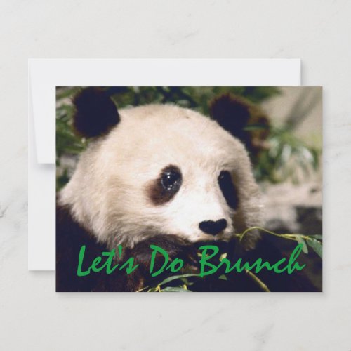 Panda Munching Greens INVITATION  EZ2 CUSTOMIZE