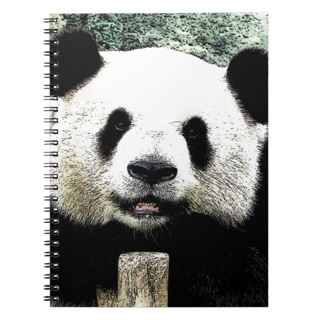 Panda Notebook (Front)