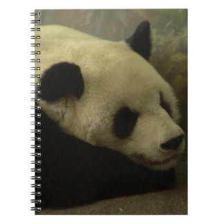 Panda Notebook