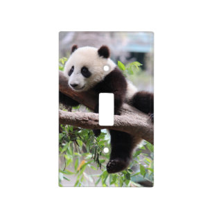 Panda on a Branch Light Switch Cover