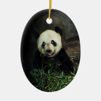 Panda Ornament ~ Endangered Species Series
