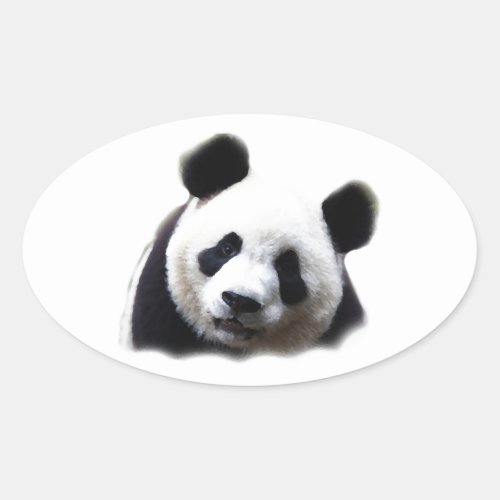 Panda Oval Sticker