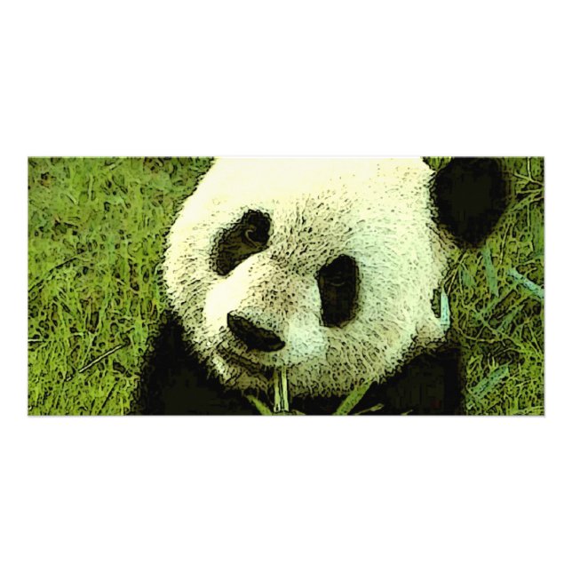 Panda Photo Card (Front)
