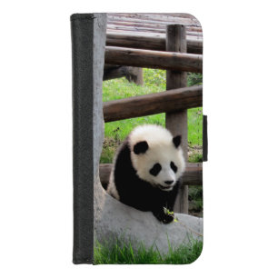 Panda Photograph iPhone 8/7 Wallet Case