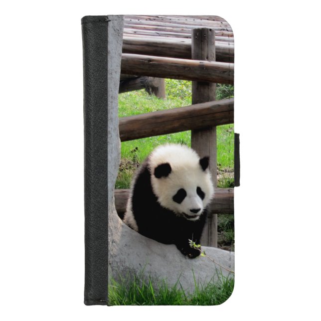 Panda Photograph iPhone Wallet Case (Front)