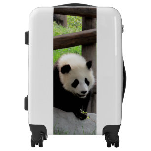 Panda Photograph Luggage