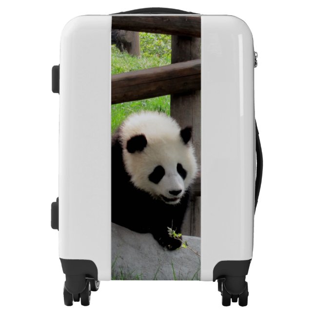 Panda Photograph Luggage (Front)