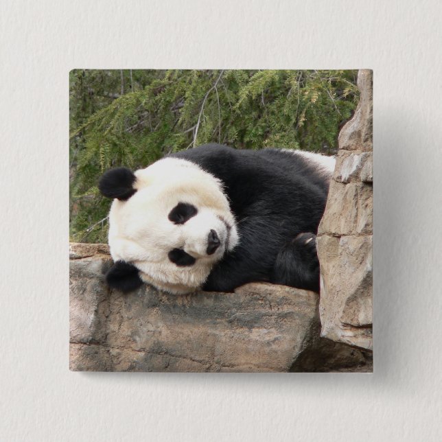 Panda Pin (Front)