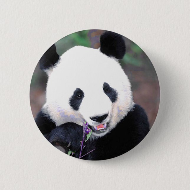 Panda Pinback Button (Front)