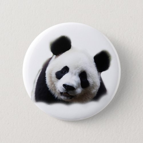 Panda Pinback Button