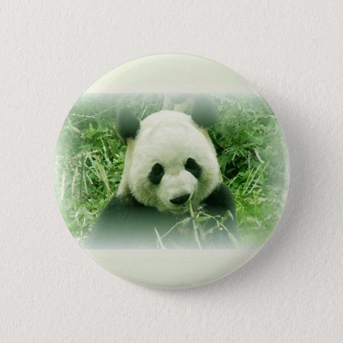 Panda Pinback Button