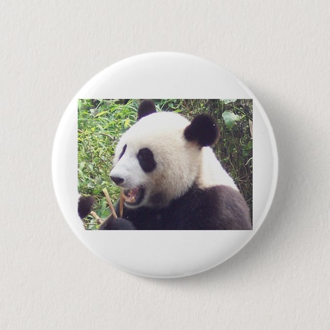Panda Pinback Button (Front)