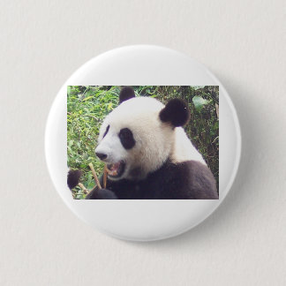 Panda Pinback Button