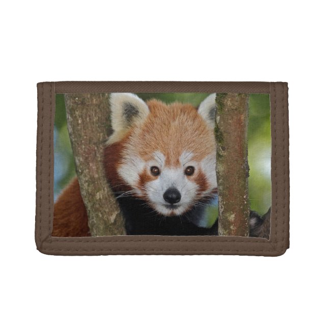 Panda Portrait Wallet (Front)