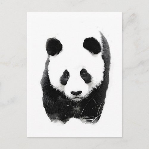 Panda Postcard