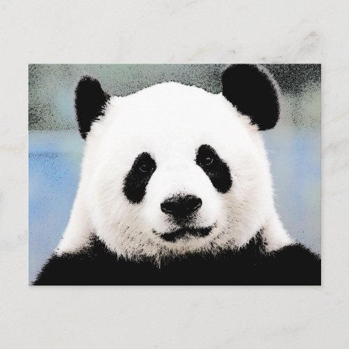 Panda Postcard