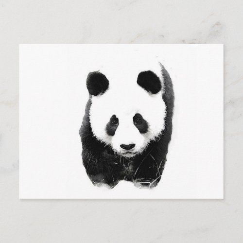 Panda Postcard