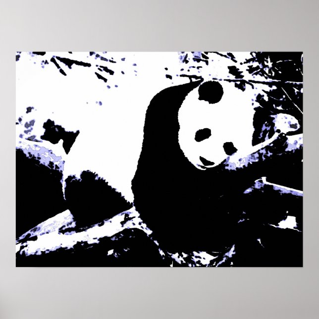 Panda Posters Prints - Panda Sleeping Poster (Front)