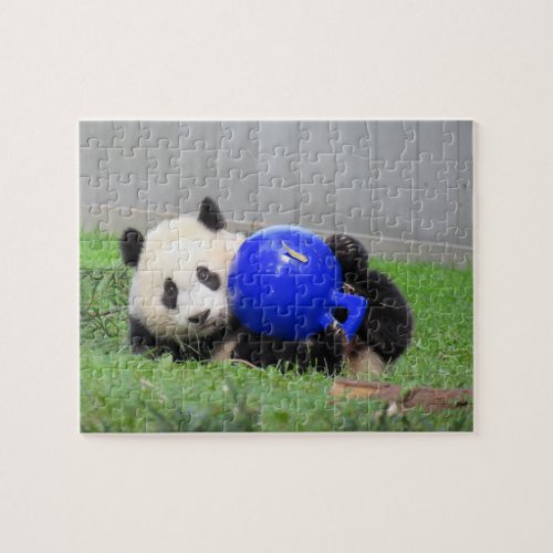 Panda puzzle _ Xiao Qi ji the miracle cub 